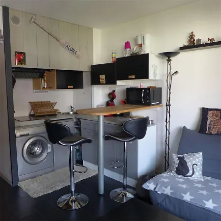 Réf 539, Océan, à 150m De La Plage, Proche Commerces, 4 Personnes * Seignosse